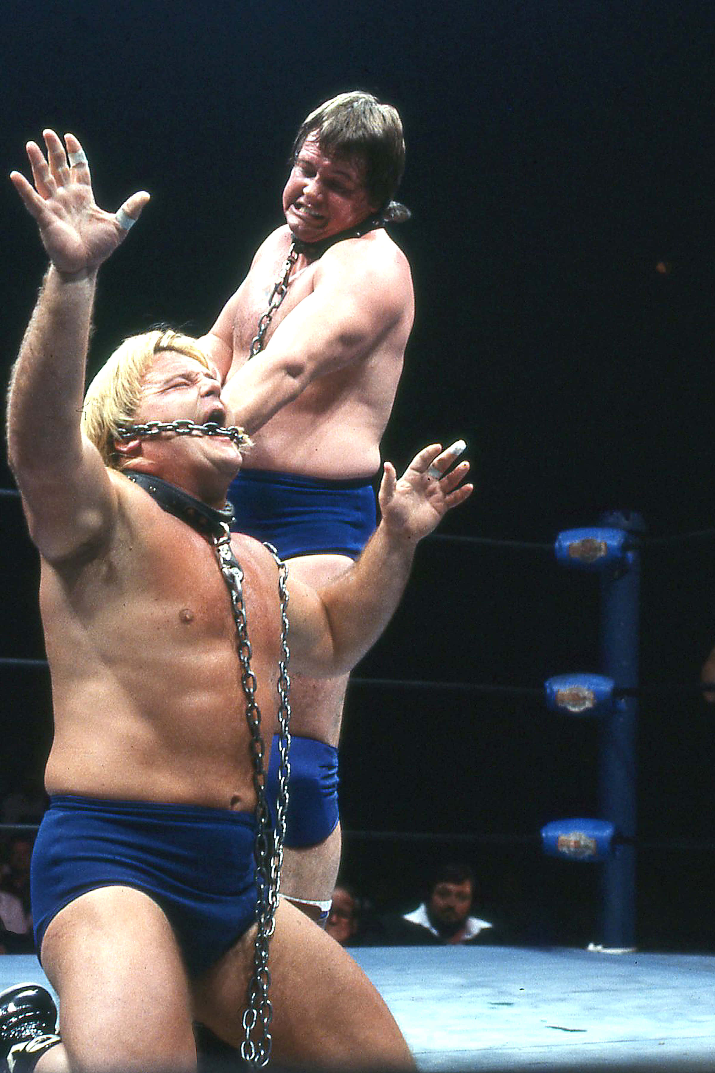 Greg Valentine, dog collar match, blue trunks, 2K Phone Wallpaper