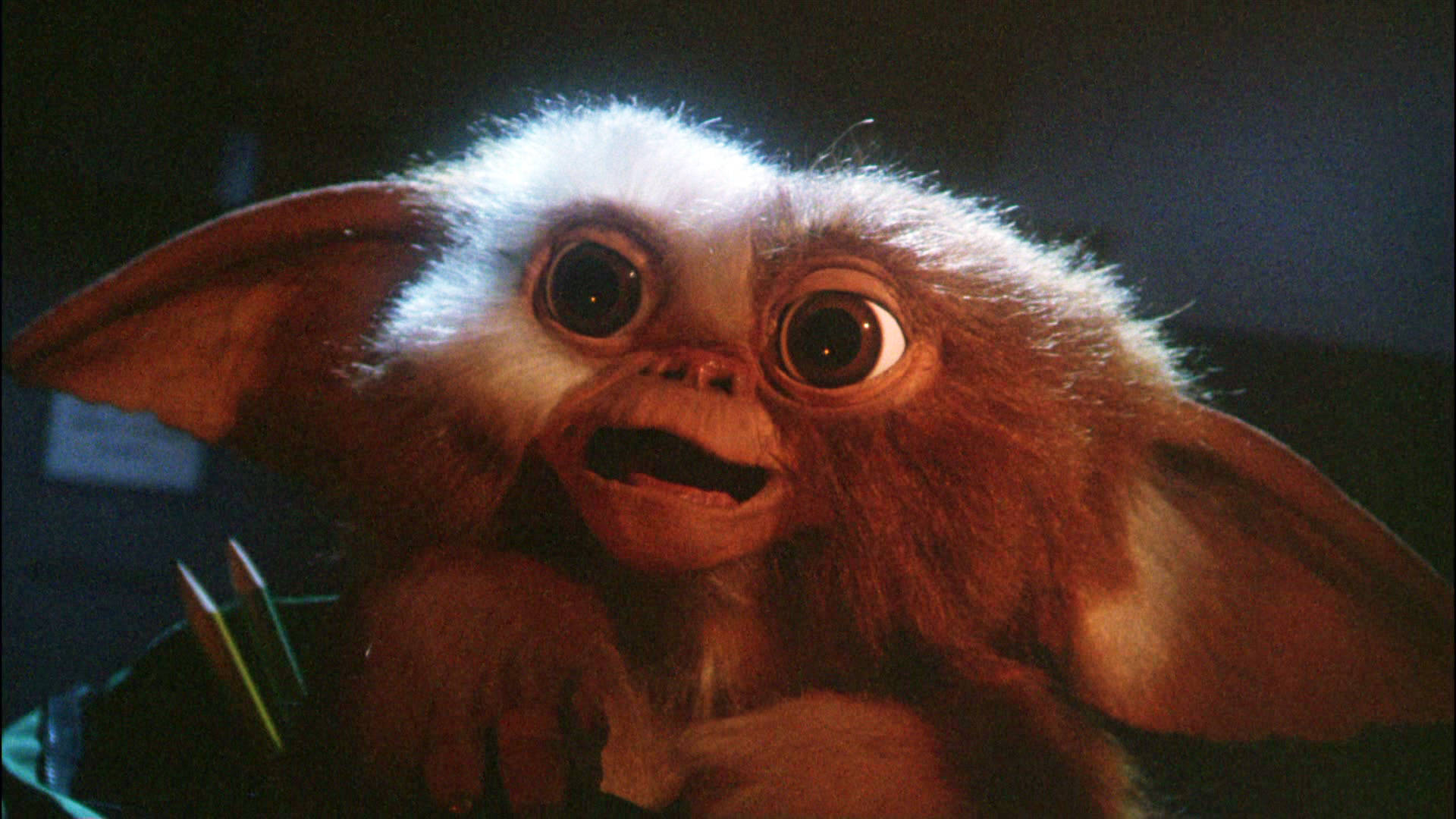 Gremlins, furry creature, large round eyes, Full HD Desktop Wallpaper