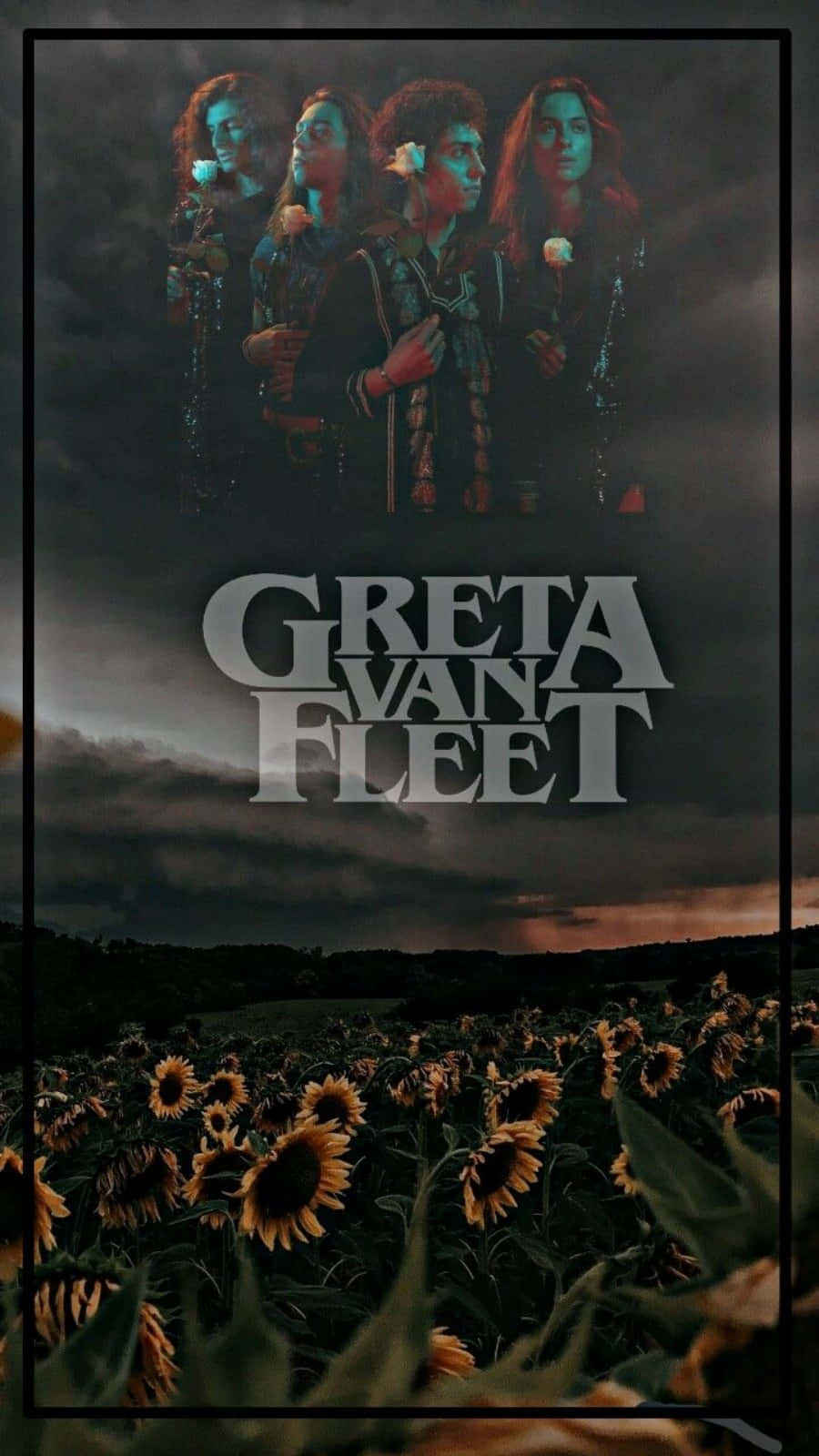 Greta Van Fleet, sunflower, stormy sky, HD Phone Wallpaper