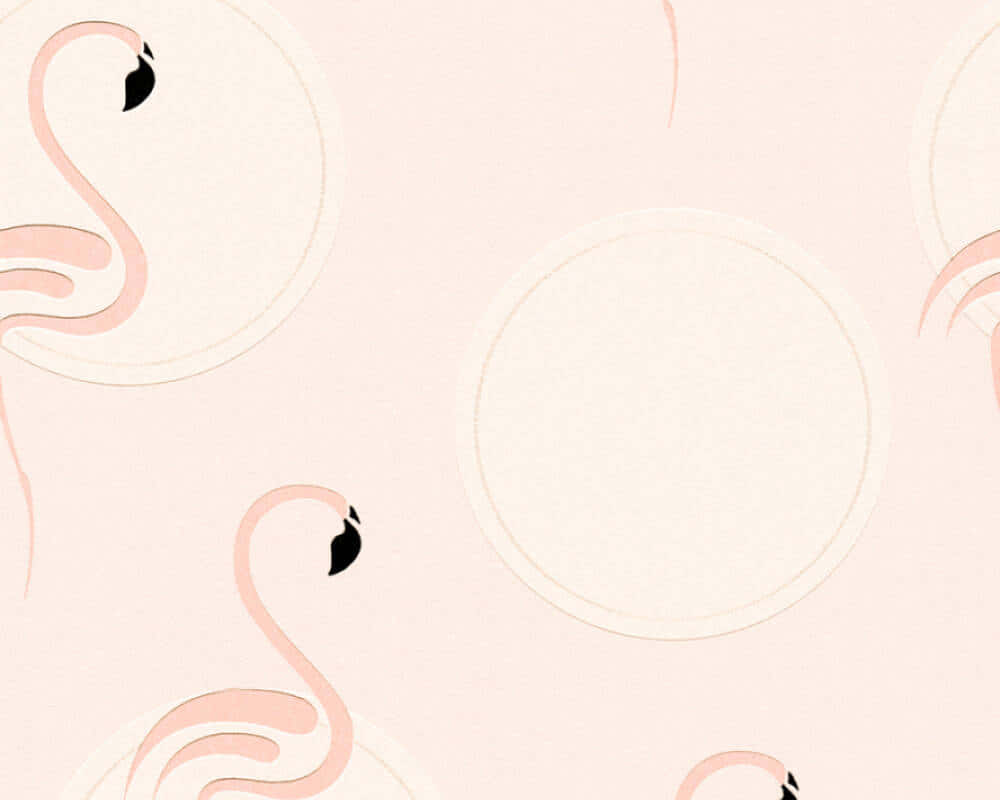pink flamingo silhouettes, cream circles, soft blush background, SD Desktop Wallpaper