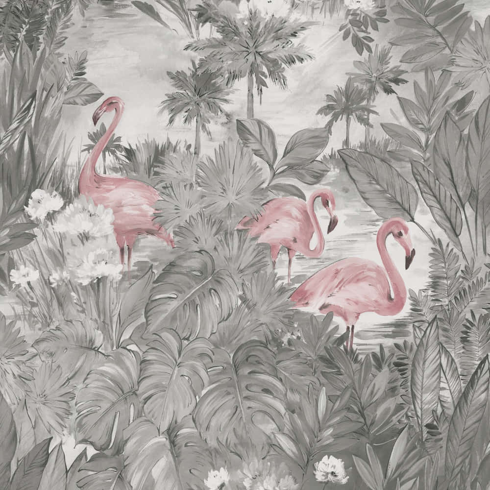 flamingos, jungle, palm trees, SD Desktop Wallpaper