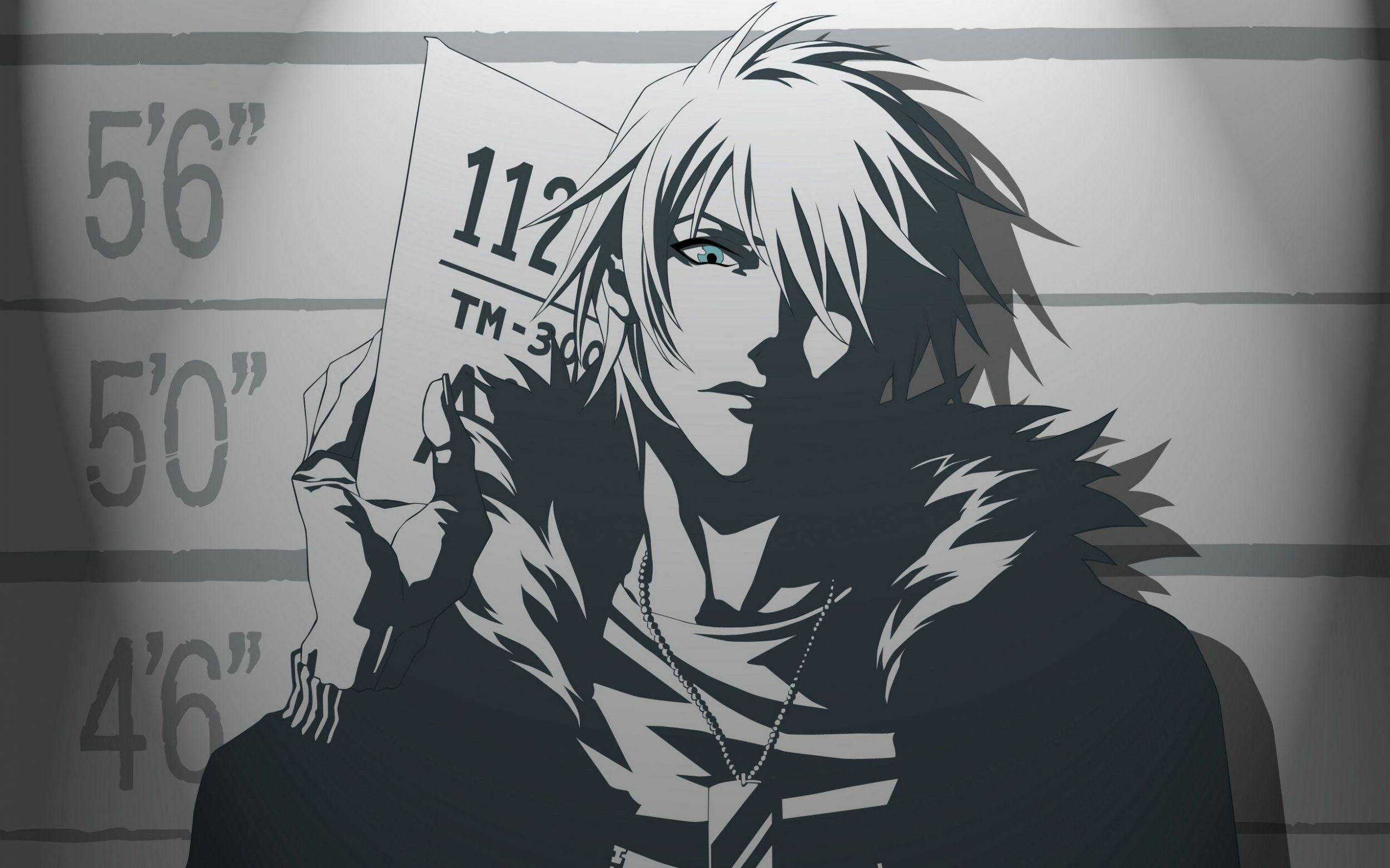 anime character, spiky white hair, height chart, Full HD Desktop Wallpaper