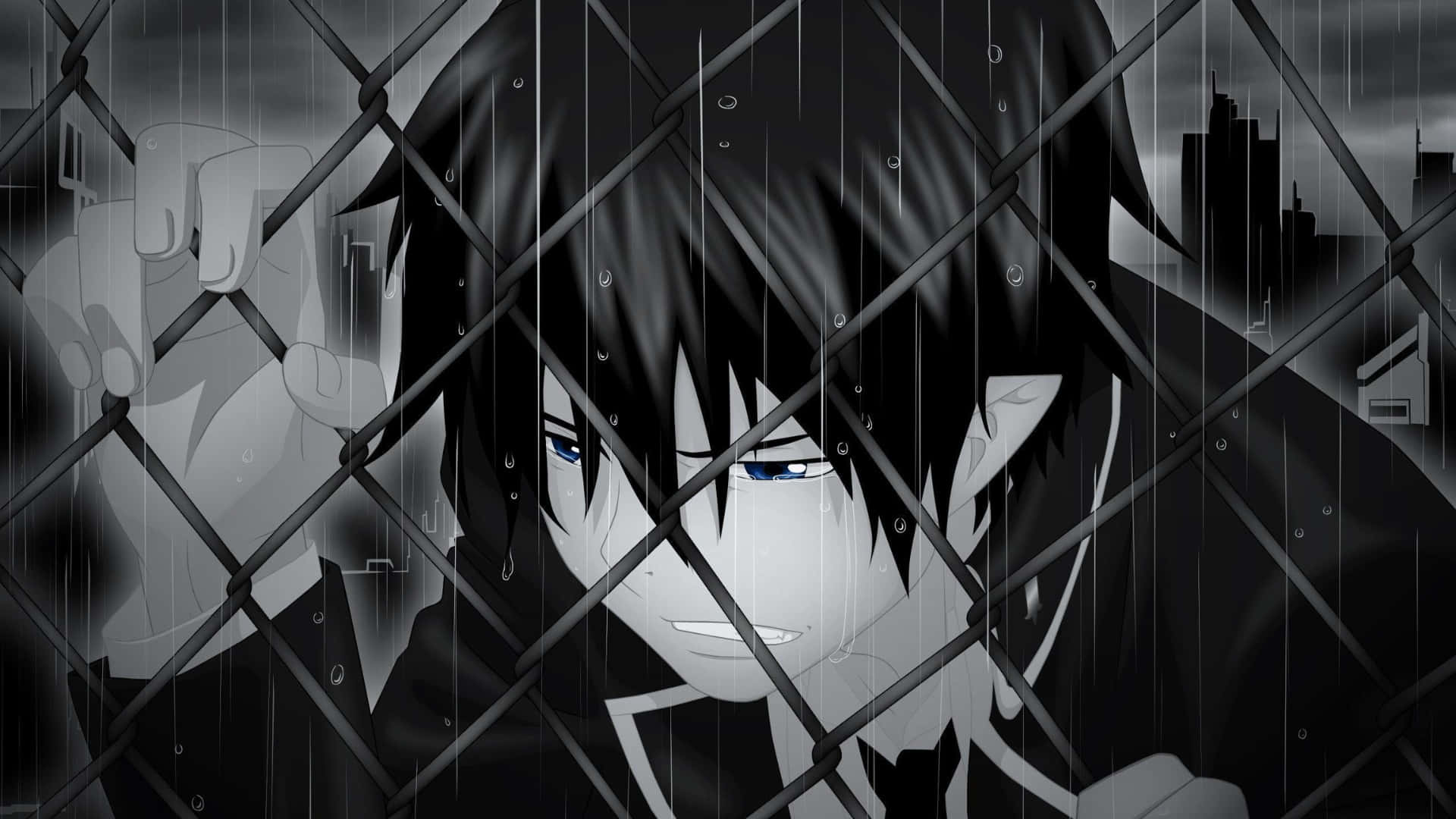 Grey Anime, rain-slicked chain-link fence, blue eyes, Full HD Desktop Wallpaper