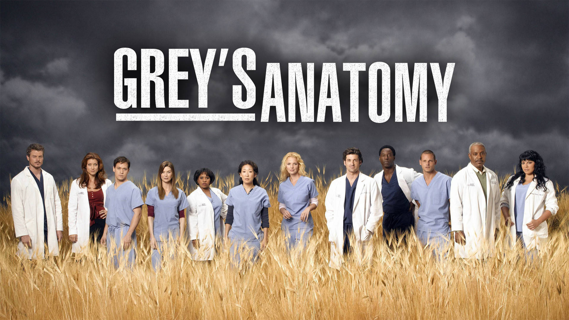 Grey's Anatomy, golden wheat field, stormy sky, Full HD Desktop Wallpaper