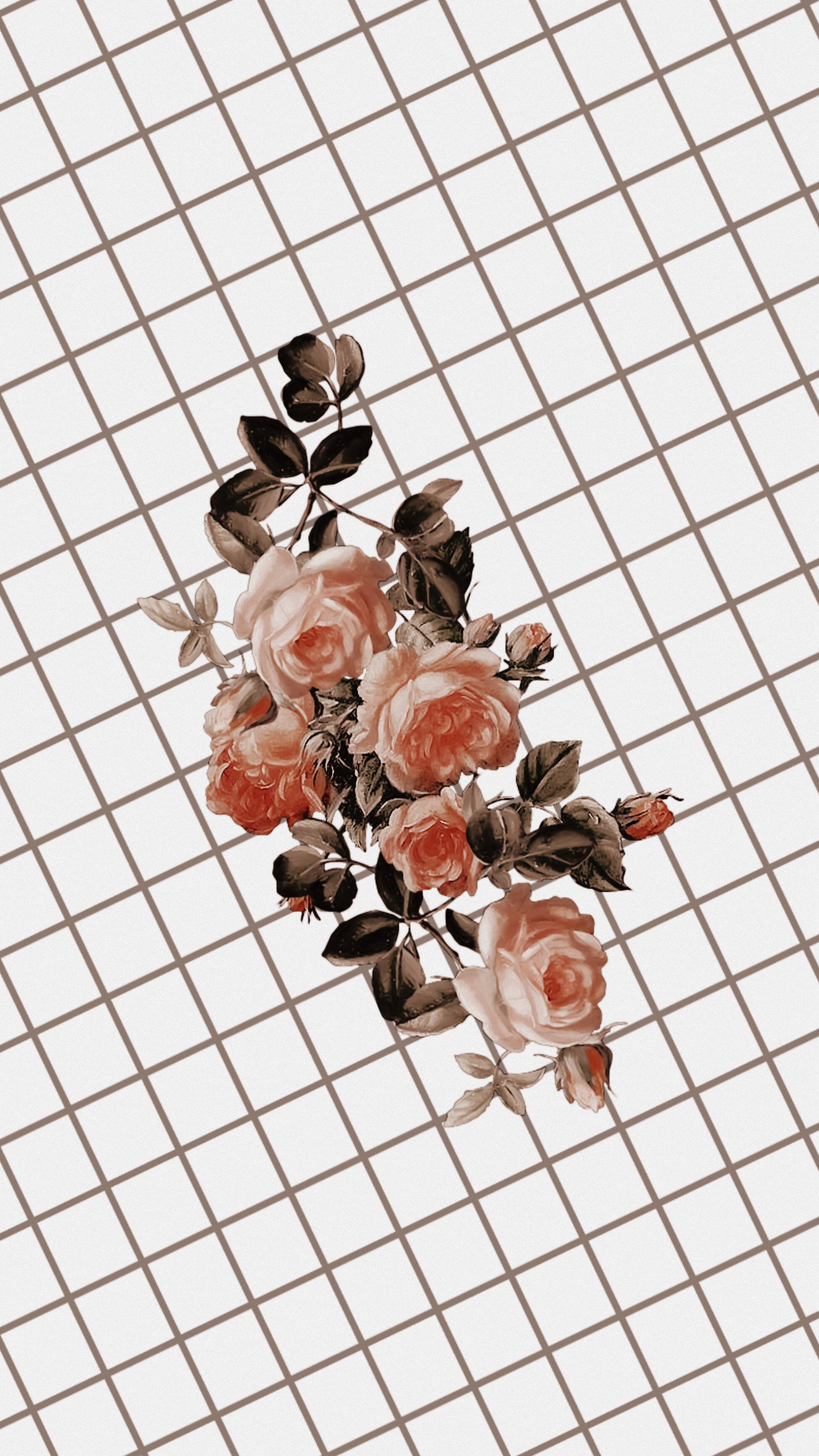 peach roses, dark leaves, soft beige grid background, 2K Phone Wallpaper