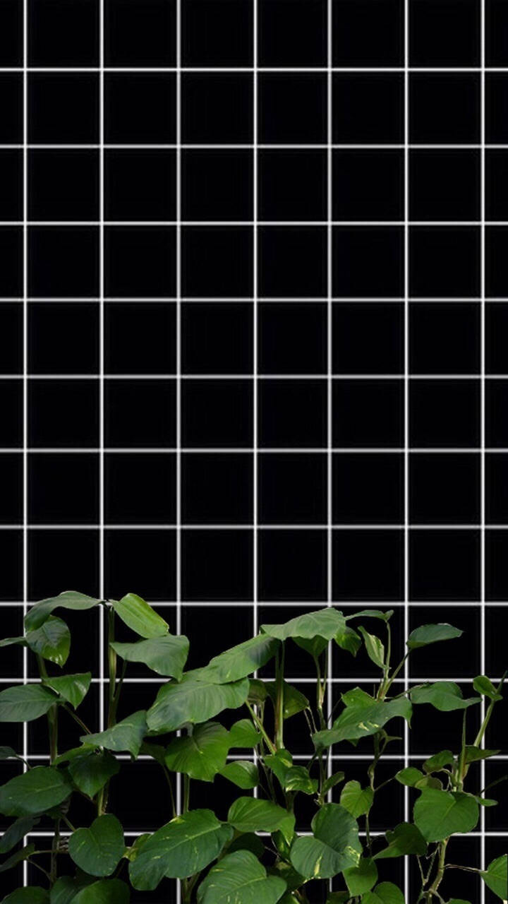 black tiled wall, white grid lines, vibrant green leafy plants, HD Phone Wallpaper