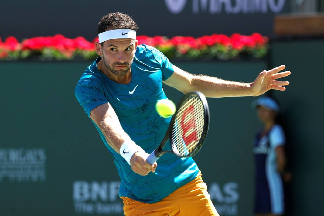 Grigor Dimitrov, blue shirt, orange shorts, SD Desktop Wallpaper