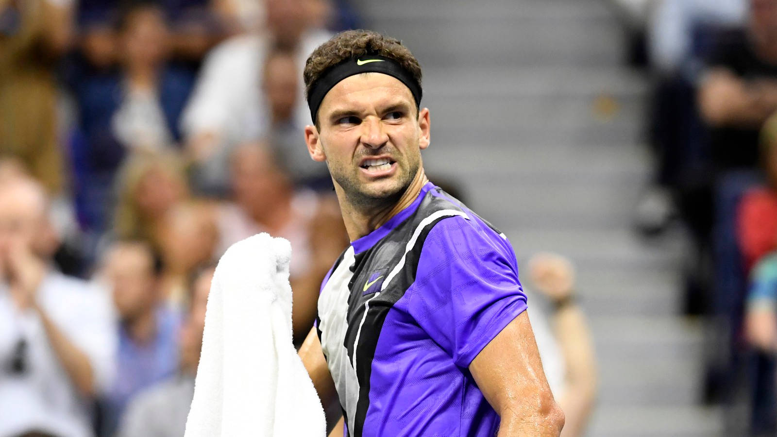 Grigor Dimitrov, purple shirt, black shirt, HD Desktop Wallpaper