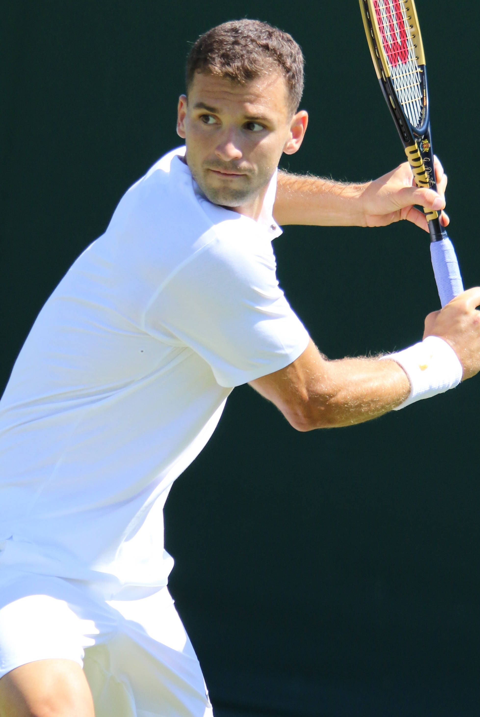 Grigor Dimitrov, white outfit, tennis player, 2K Phone Wallpaper