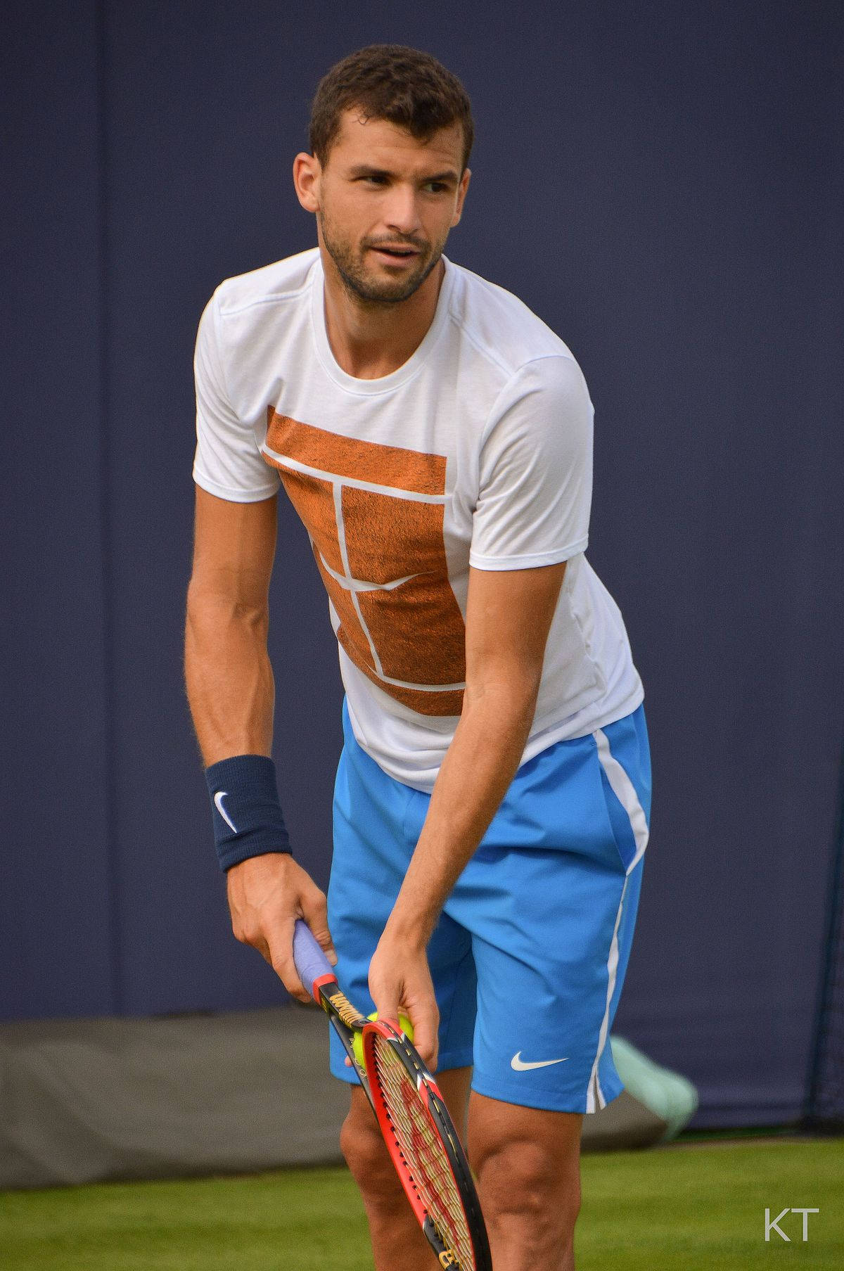 Grigor Dimitrov, printed tennis shirt, white and blue gear, HD Phone Wallpaper