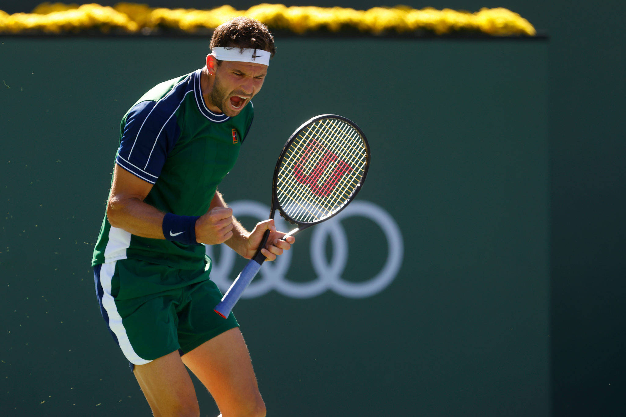 Grigor Dimitrov, green gear, sunlit court, Full HD Desktop Wallpaper