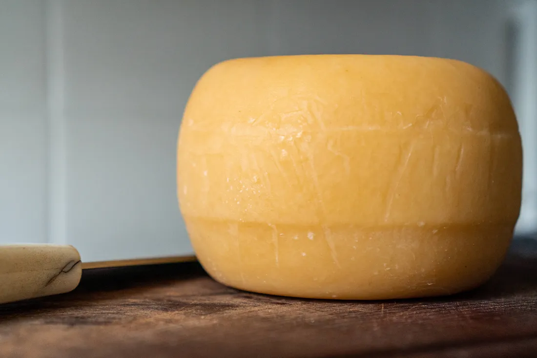 Grilled Cheese