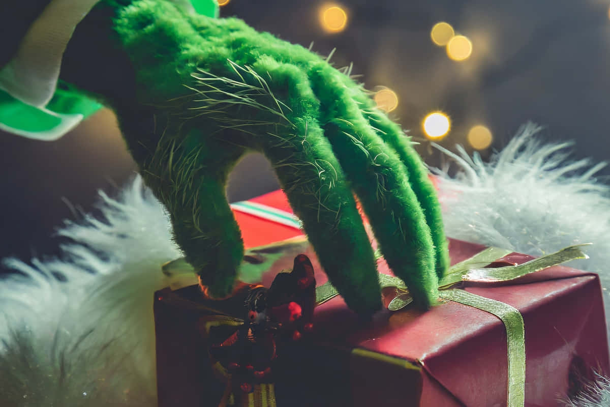 Grinch, fuzzy green, red gift, SD Desktop Wallpaper