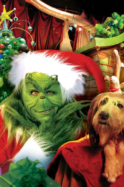 Grinch, Santa hat, dog, SD Phone Wallpaper