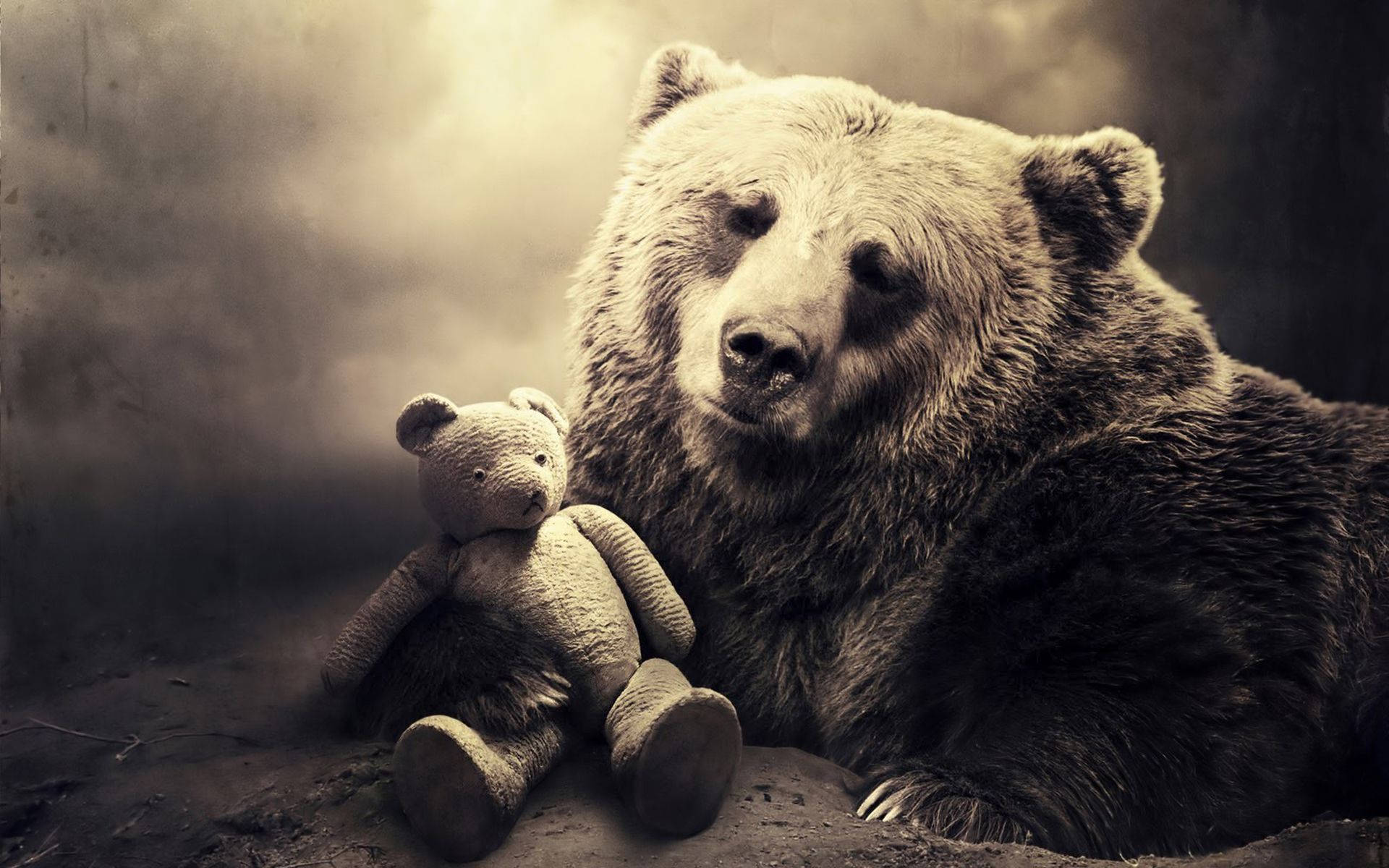 grizzly bear, teddy bear, misty, Full HD Desktop Wallpaper
