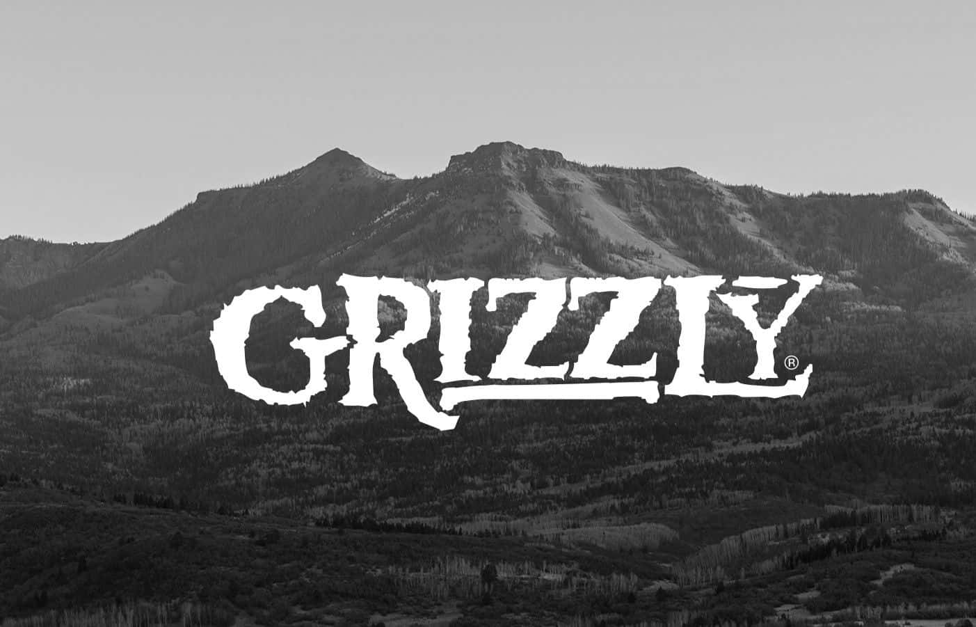 Grizzly Griptape, GRIZZLY, black and white mountain range, HD Desktop Wallpaper