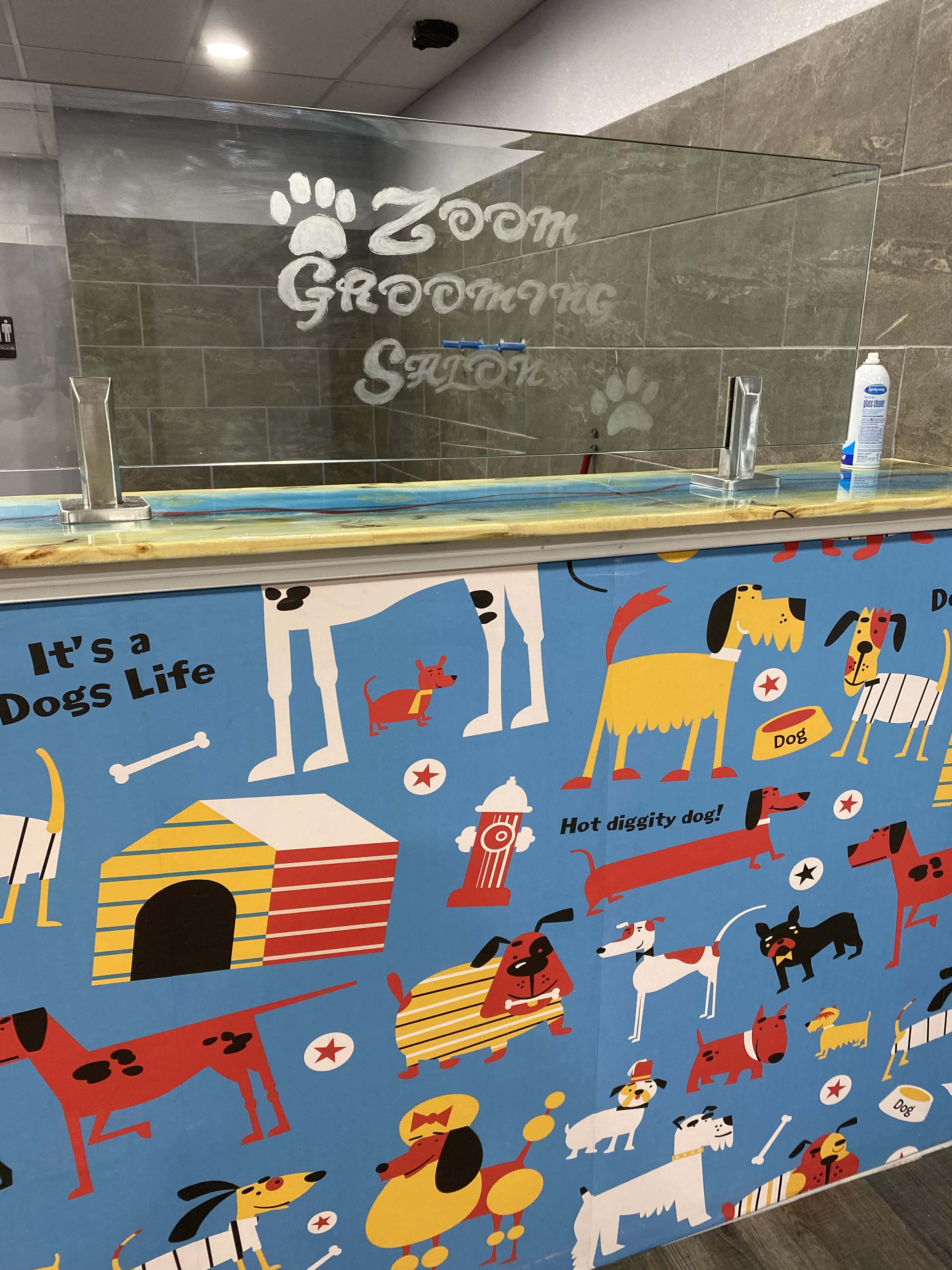grooming, Vibrant blue wall, playful cartoon dogs, 4K Phone Wallpaper
