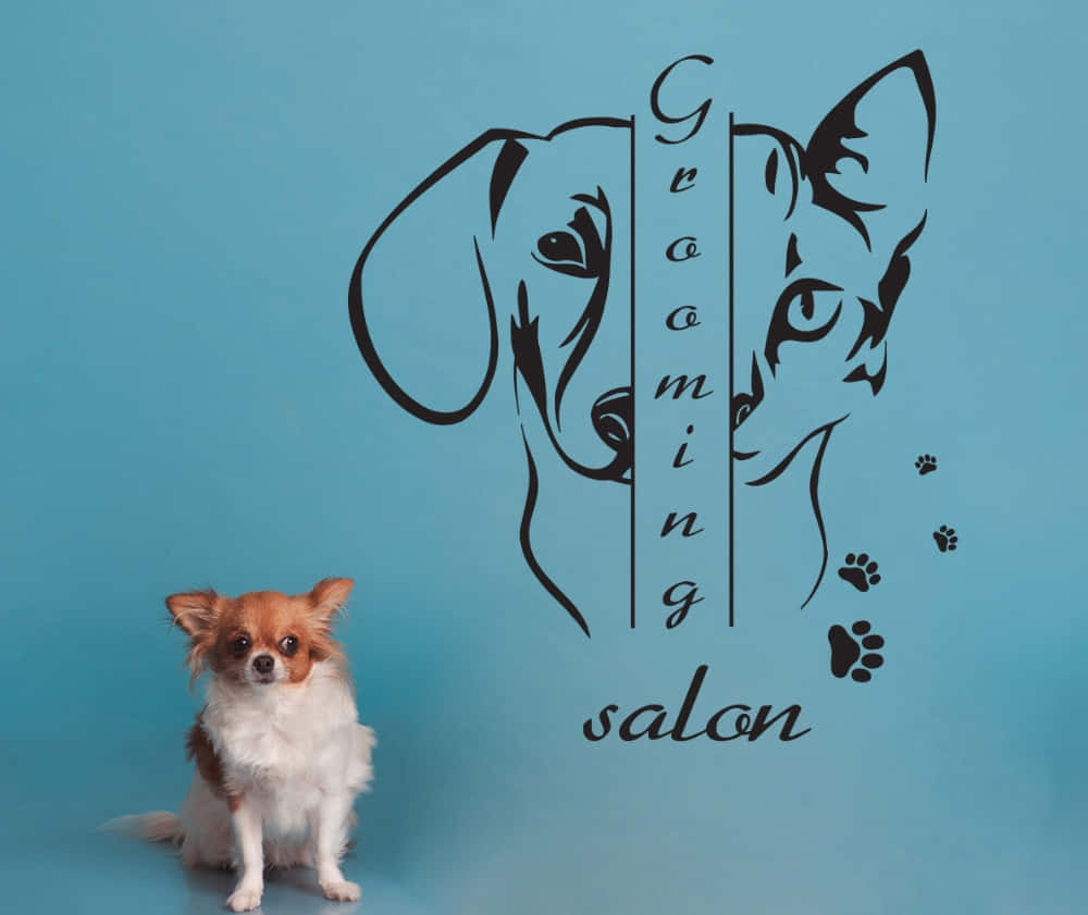 Grooming Salon, blue wall, black wall decals, SD Desktop Wallpaper