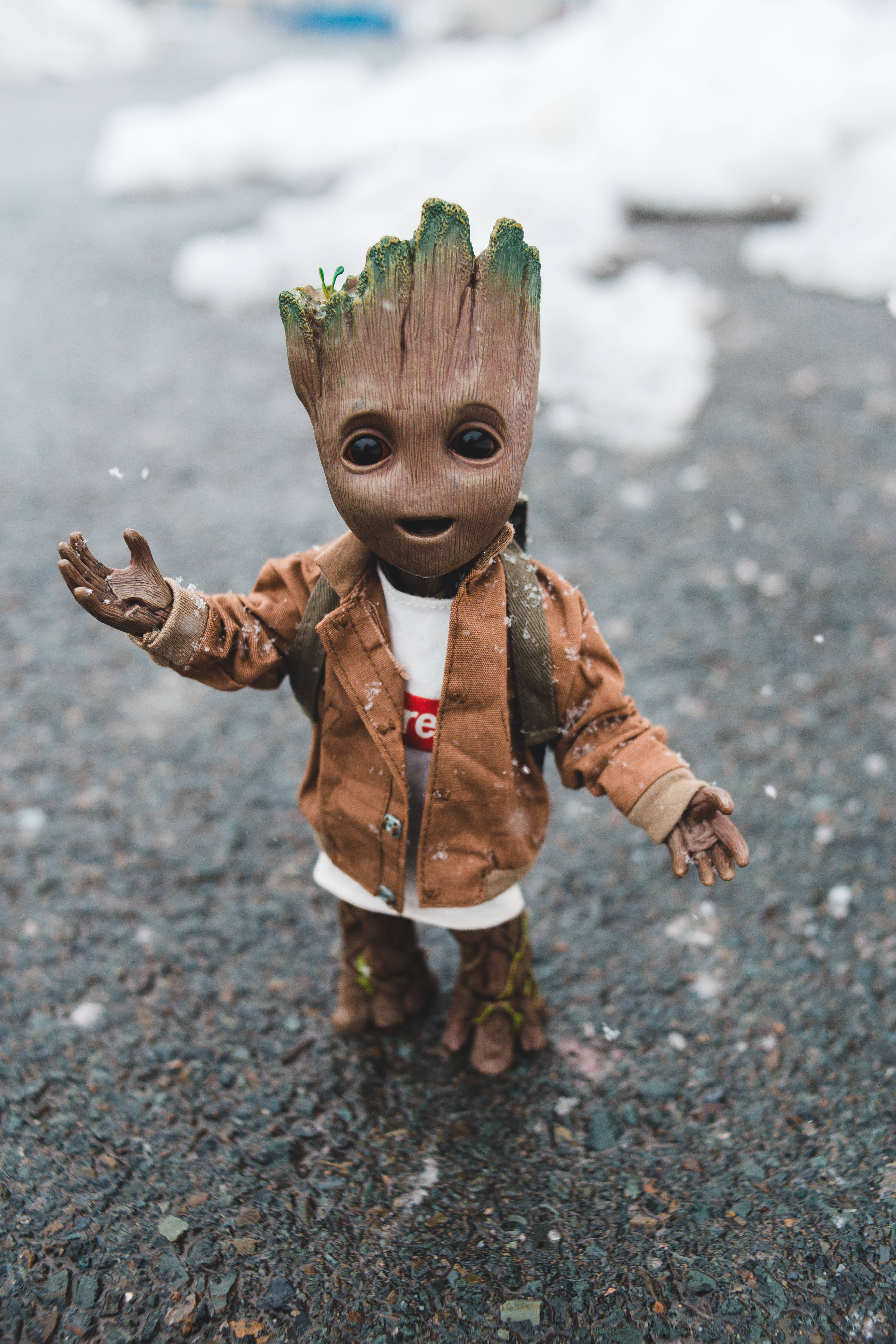 Groot, brown jacket, snowy pavement, 5K Phone Wallpaper
