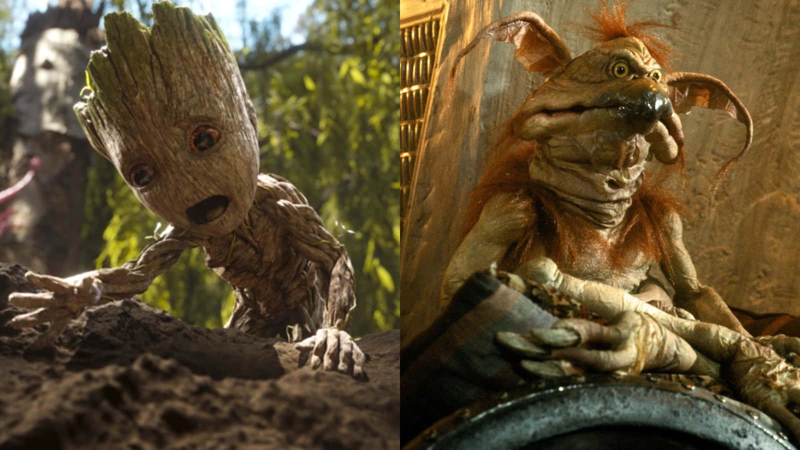 Groot, Salacious, dirt, HD Desktop Wallpaper