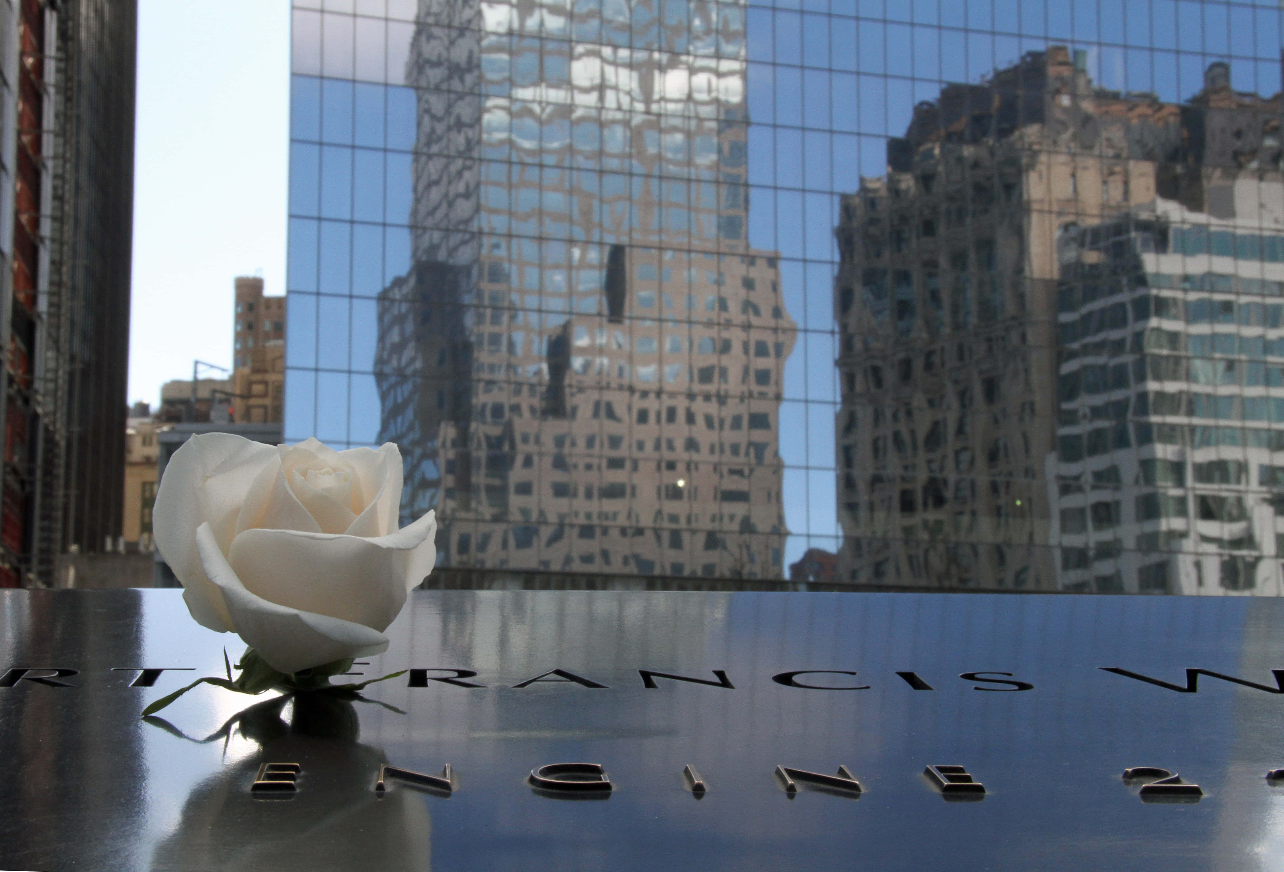 white rose, marble ground zero, polished metal memorial plaque, 5K Desktop Wallpaper