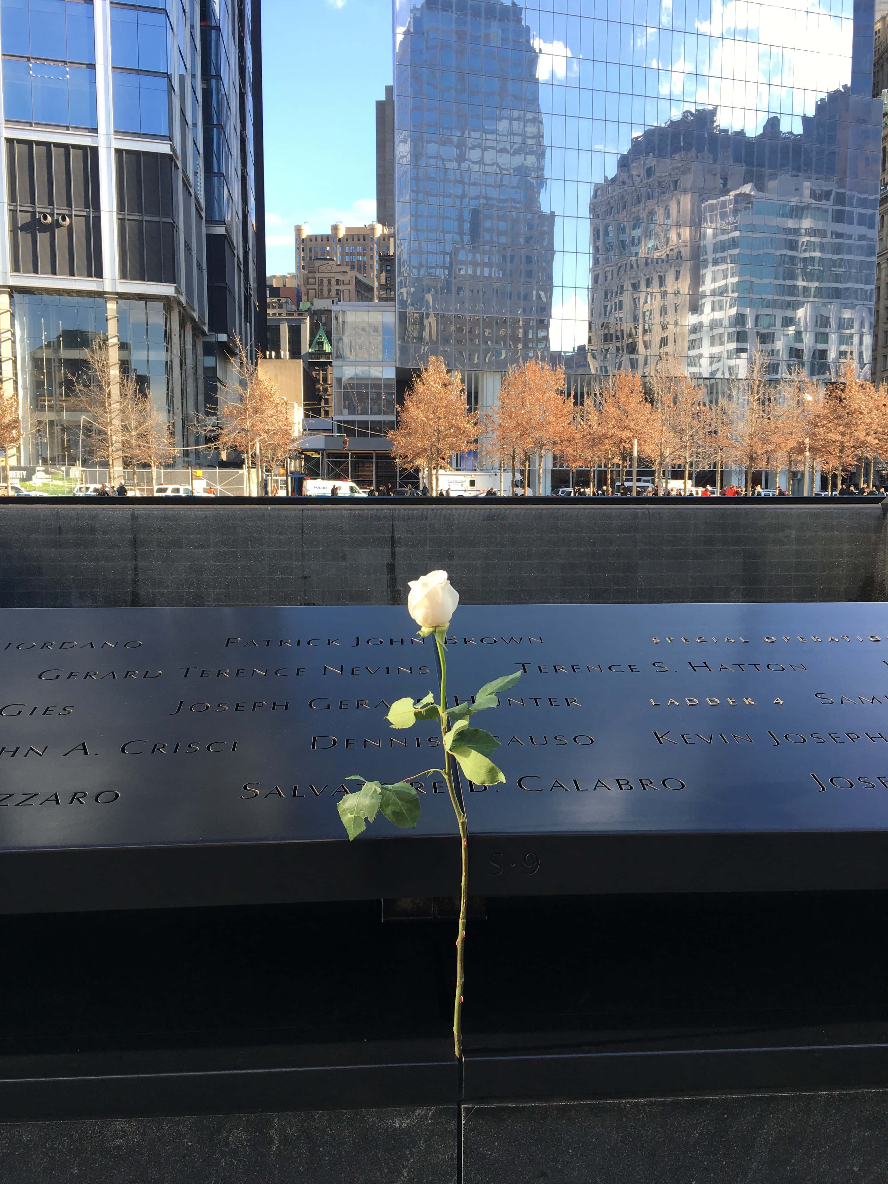 white rose, Ground Zero, reflective black stone memorial wall, 4K Phone Wallpaper