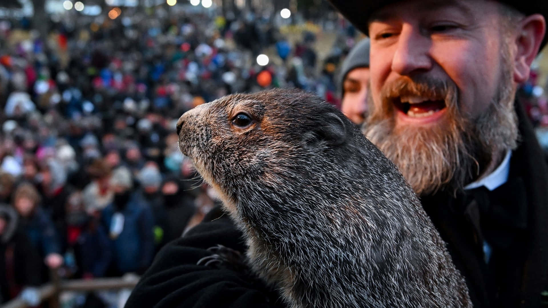 Groundhog Day, bearded man, hat, Full HD Desktop Wallpaper