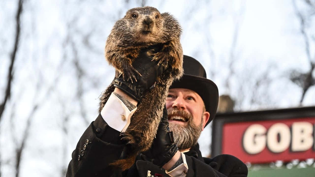 Groundhog Day, bearded man, top hat, HD Desktop Wallpaper