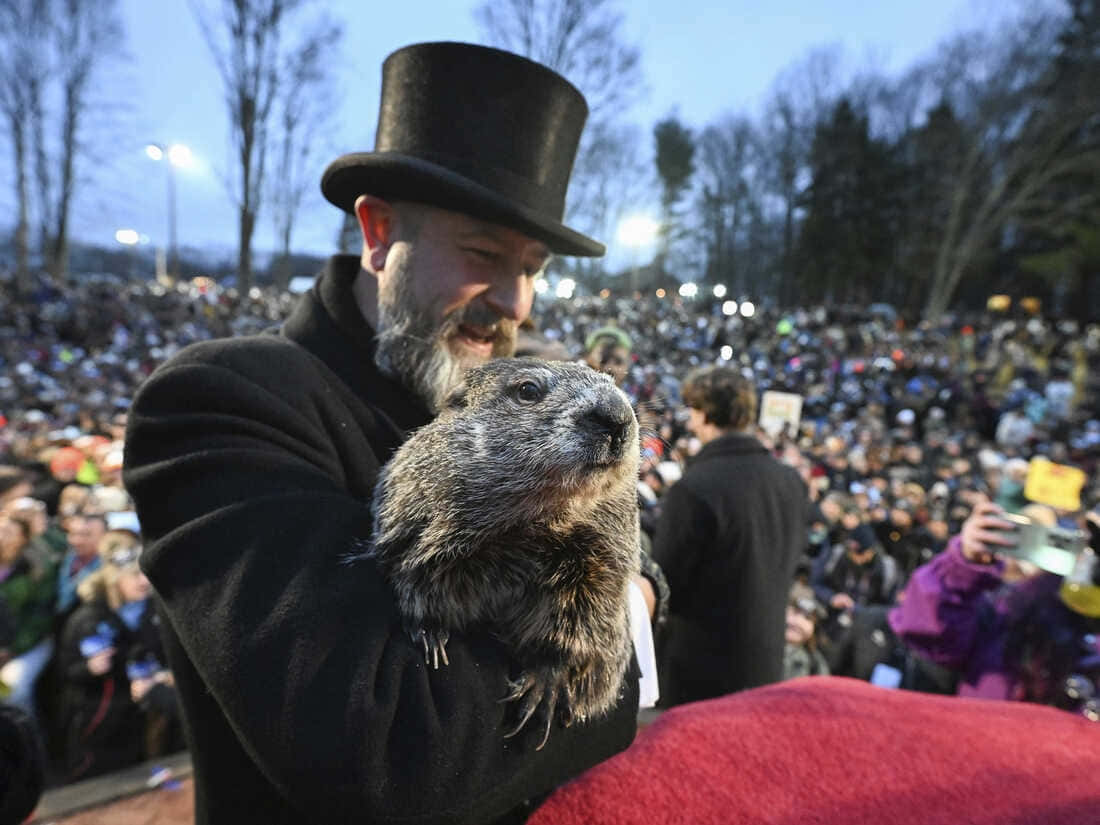 Groundhog Day, bearded man, black top hat, SD Desktop Wallpaper