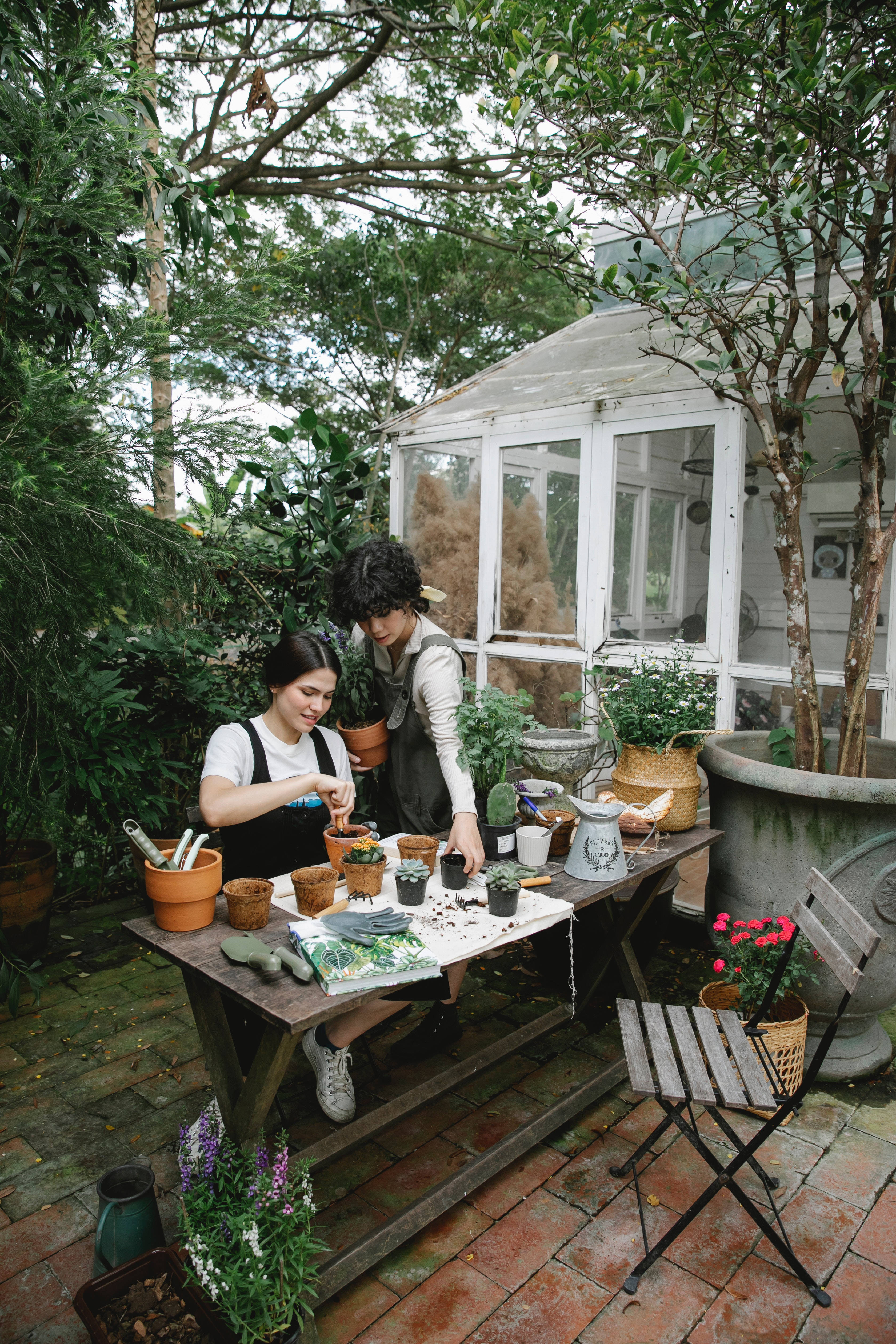 Siblings Indoor Garden, wooden table, lush garden, 4K Phone Wallpaper