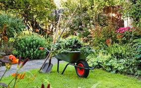 green wheelbarrow, red wheels, shovel, SD Desktop Wallpaper