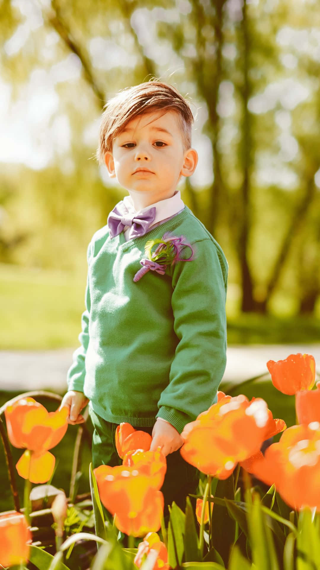 green sweater, purple bowtie, vibrant orange tulips, Full HD Phone Wallpaper