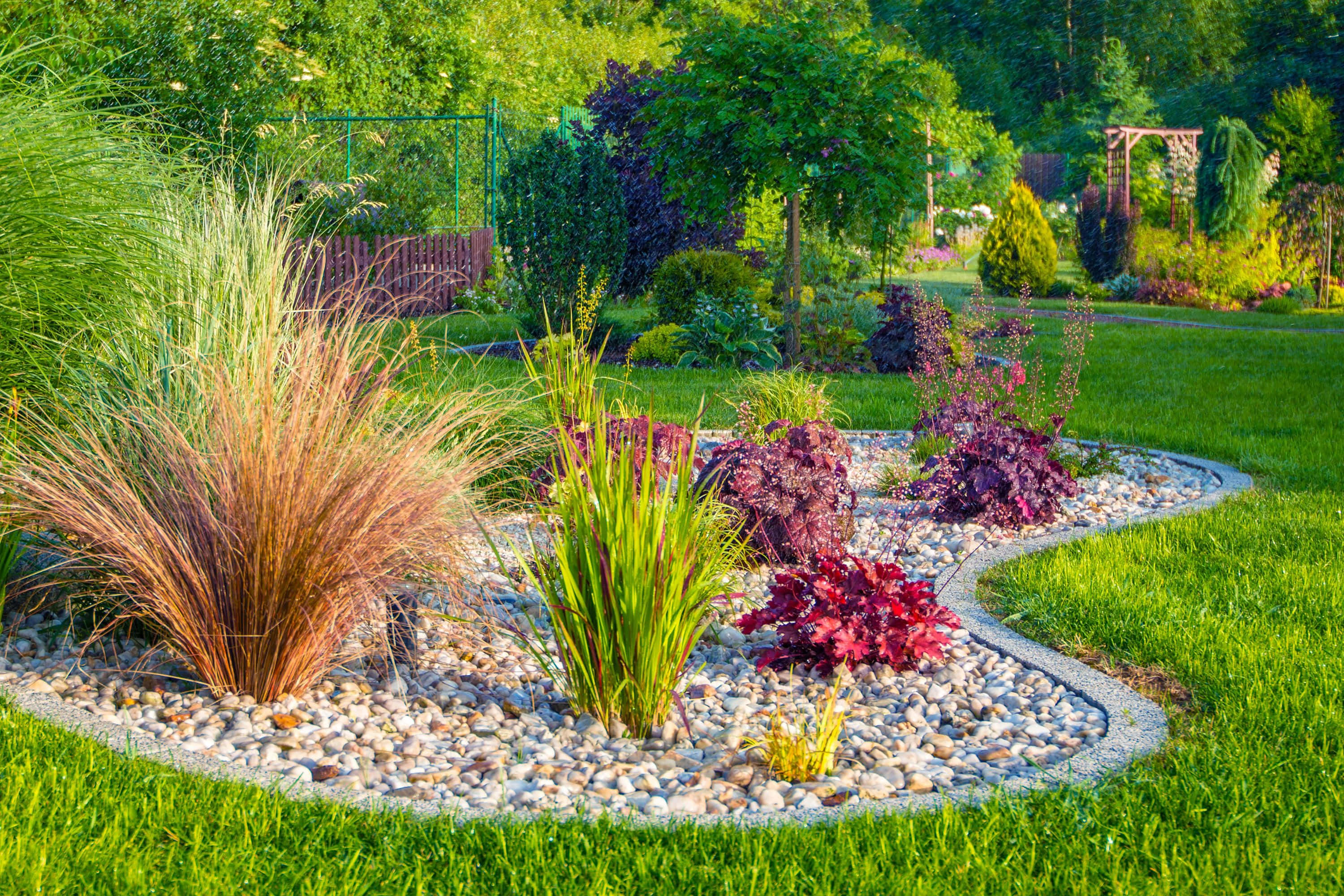 garden bed, ornamental grasses, red foliage, 2K Desktop Wallpaper