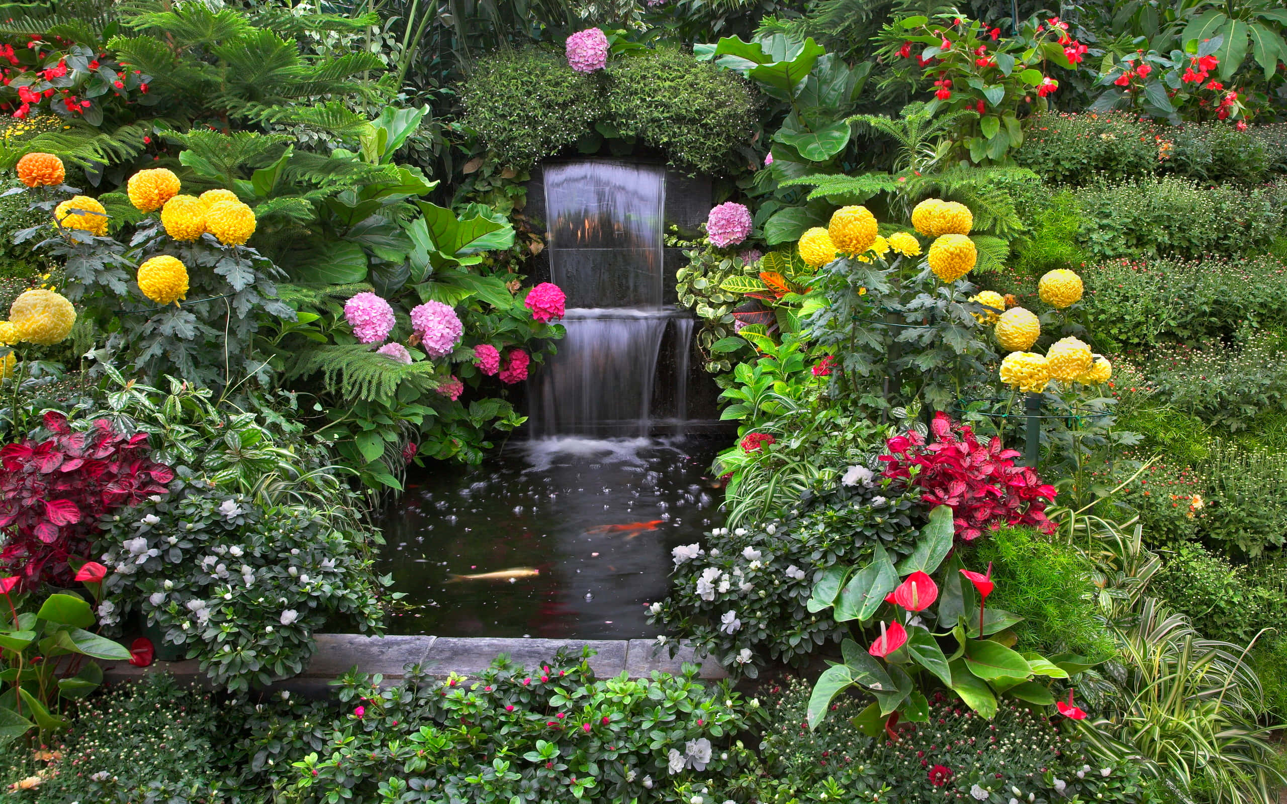 garden pathway, garden waterfall, lush greenery, 2K Desktop Wallpaper