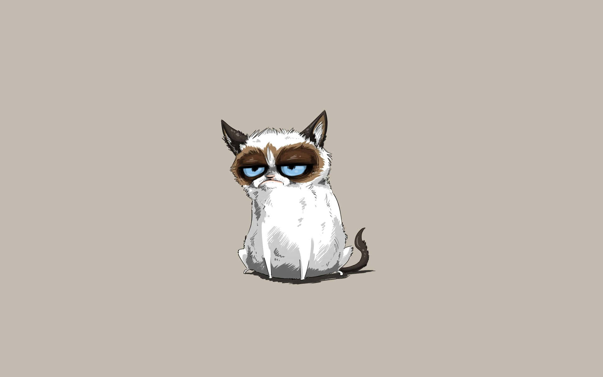 Grumpy Cat, blue eyes, brown markings, Full HD Desktop Wallpaper