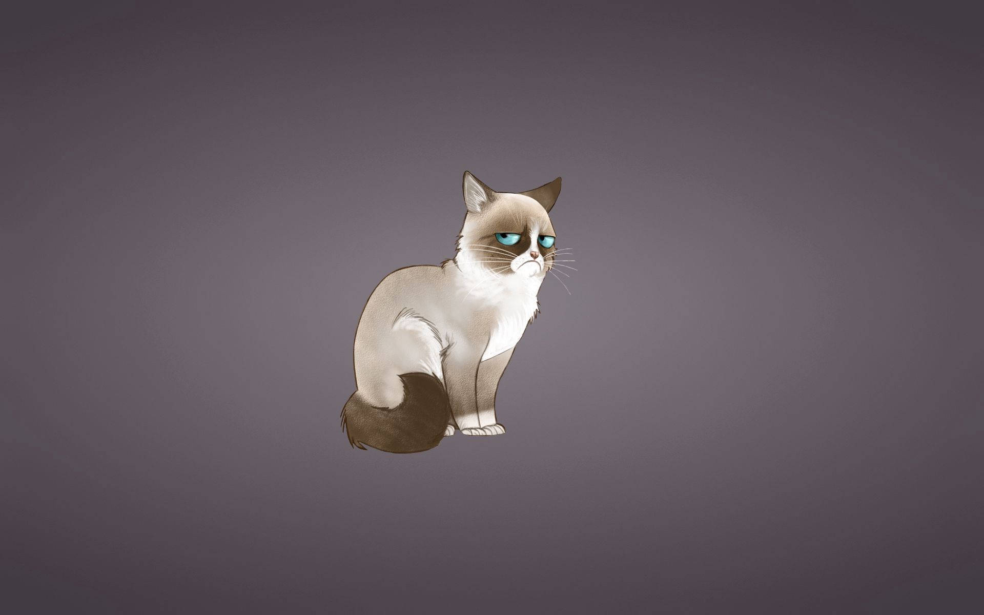 Grumpy Cat, blue eyes, muted gray background, Full HD Desktop Wallpaper