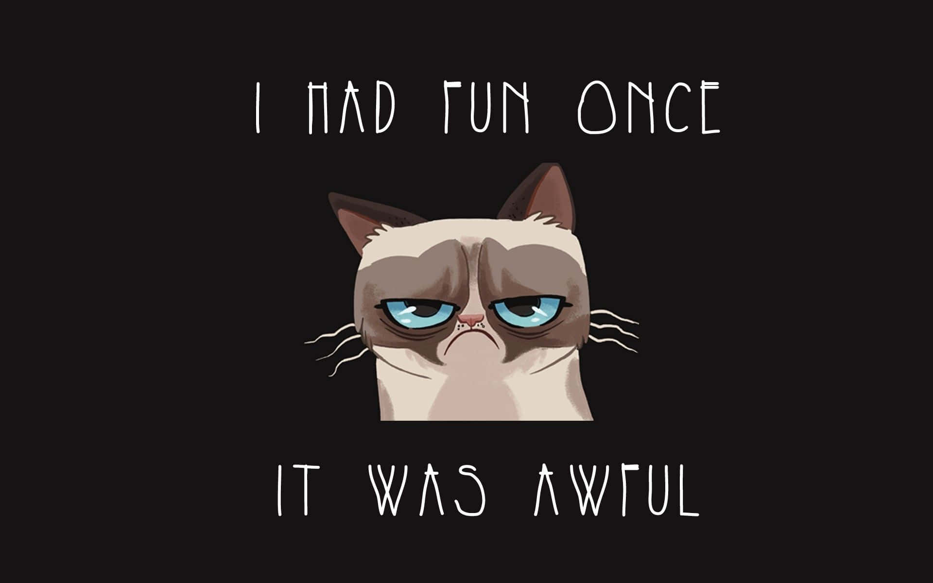Grumpy Cat, blue eyes, frown, Full HD Desktop Wallpaper