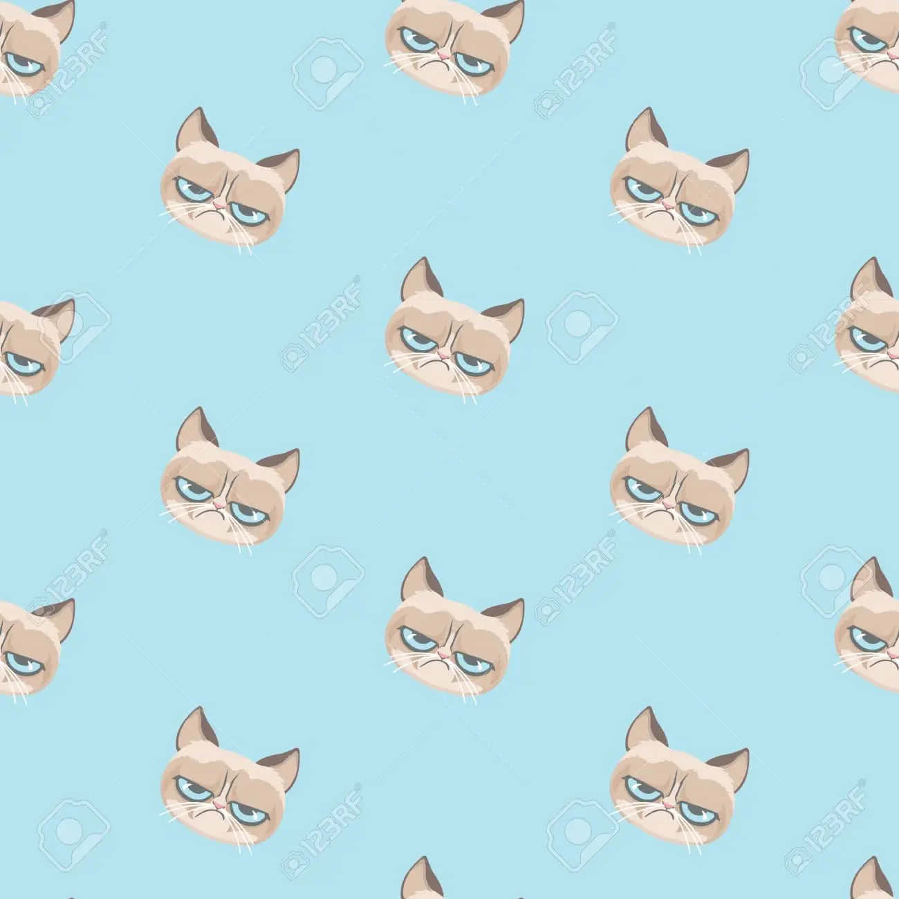 Grumpy Cat, blue eyes, light blue background, HD Desktop Wallpaper
