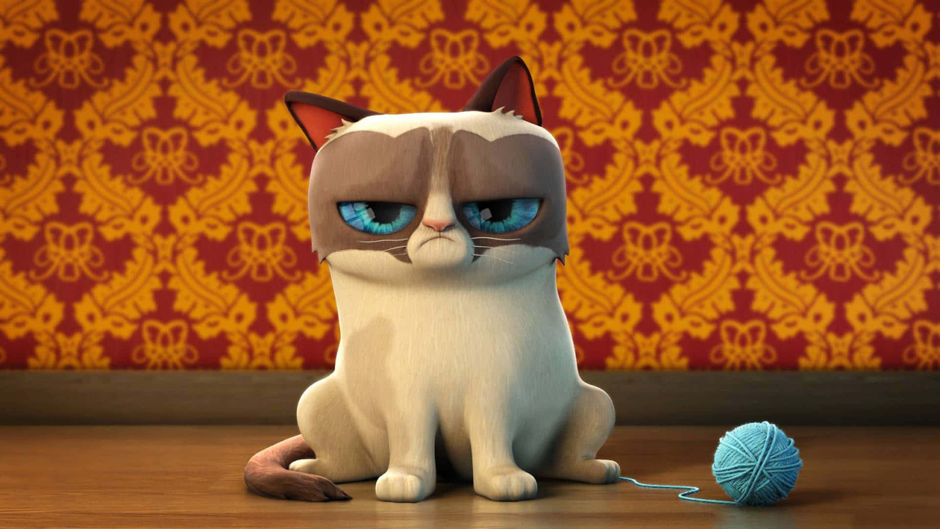 Grumpy Cat, blue eyes, wooden floor, Full HD Desktop Wallpaper