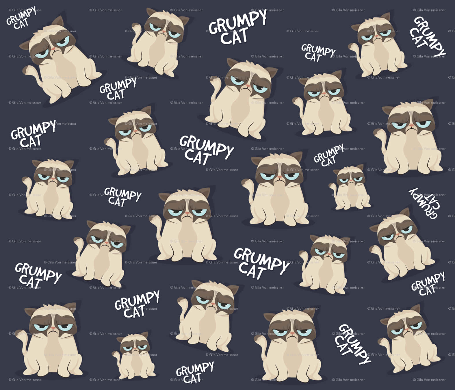 Grumpy Cat, blue eyes, frown, HD Desktop Wallpaper