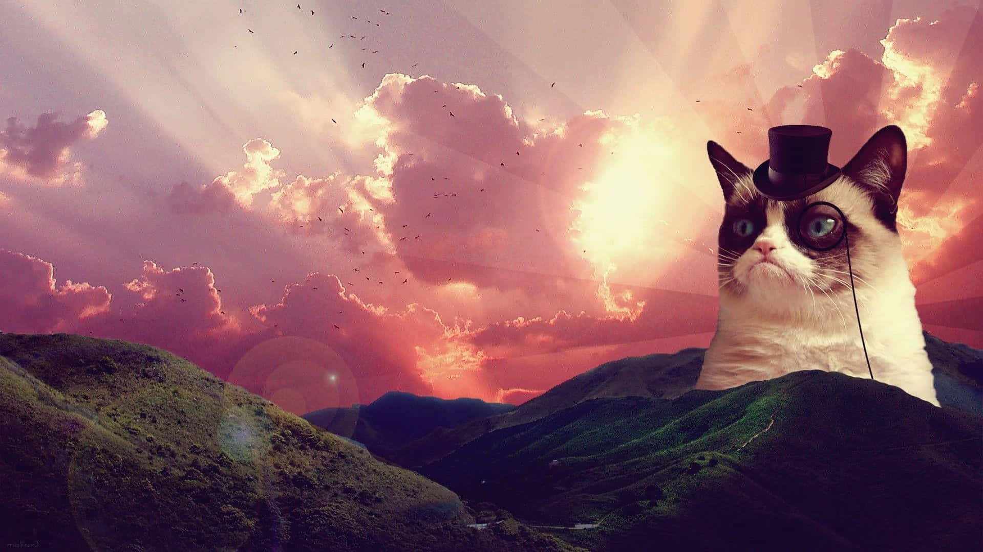 grumpy cat, top hat, monocle, Full HD Desktop Wallpaper