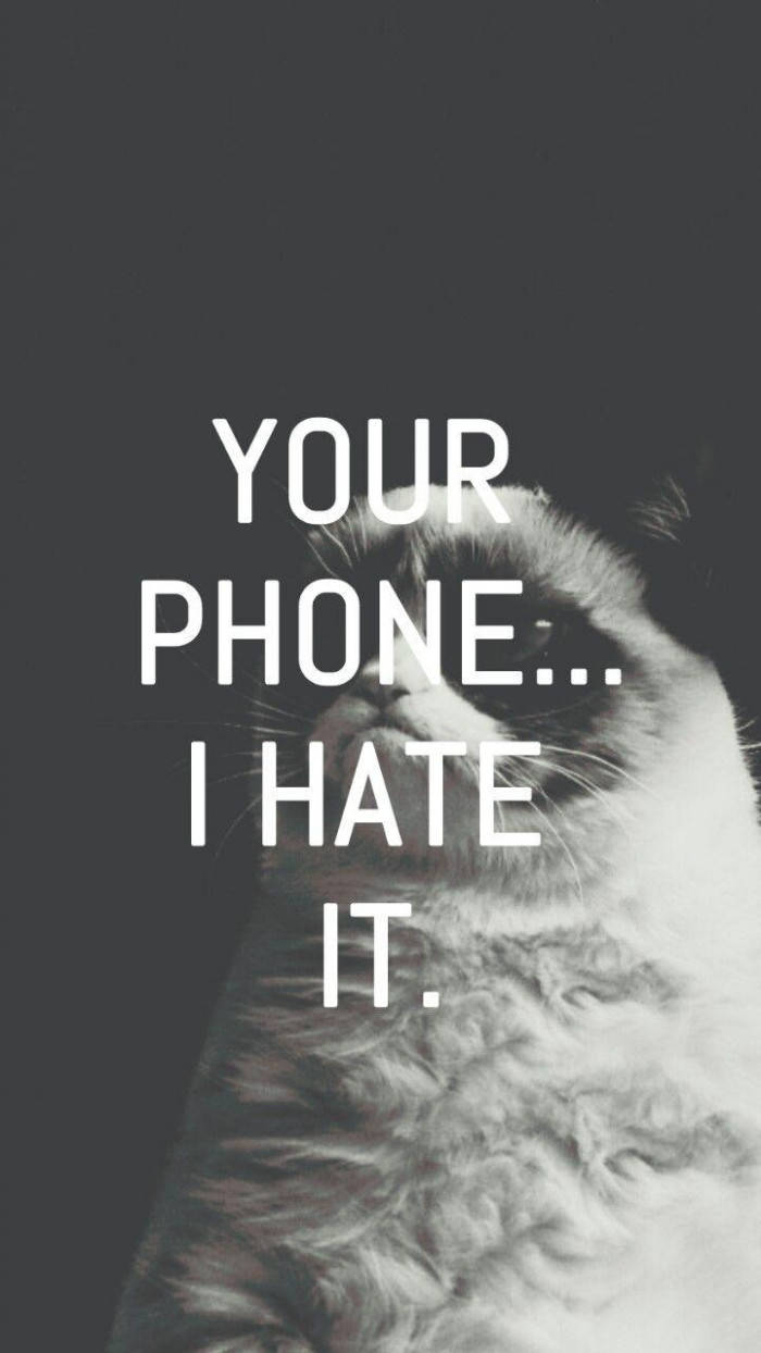 Grumpy Cat, white text, dark gray background, SD Phone Wallpaper