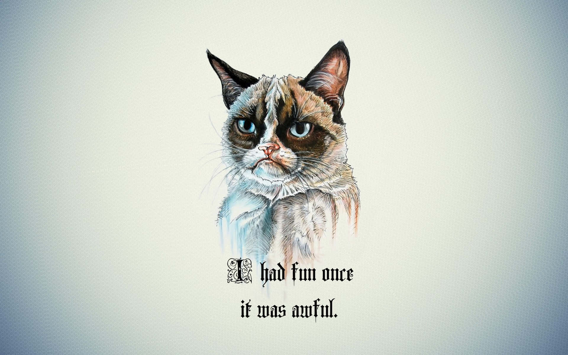 Grumpy Cat, blue eyes, furrowed brow, Full HD Desktop Wallpaper