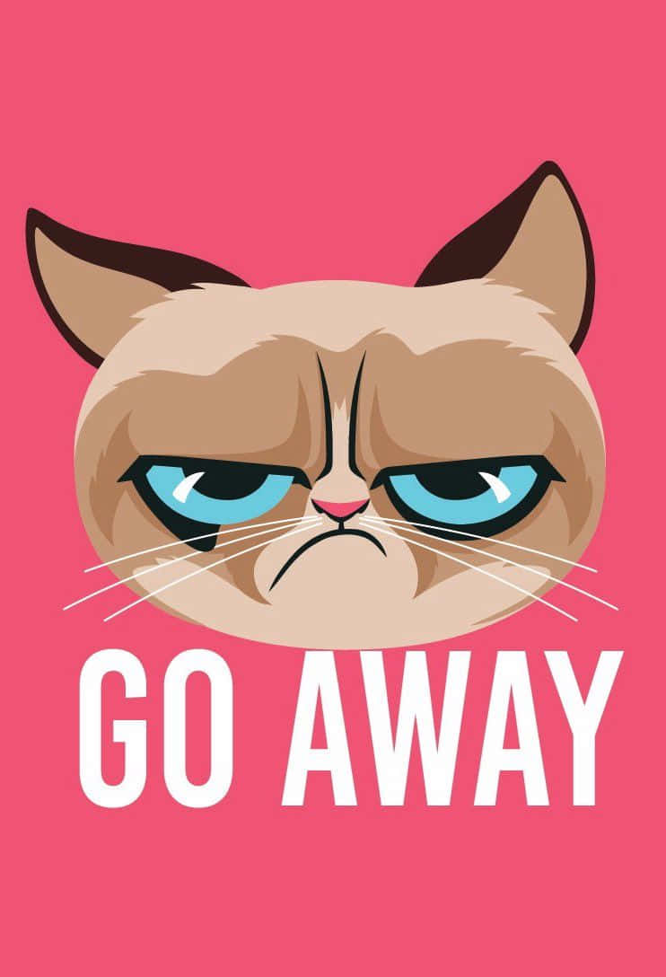 Grumpy Cat, blue eyes, furrowed brows, SD Phone Wallpaper
