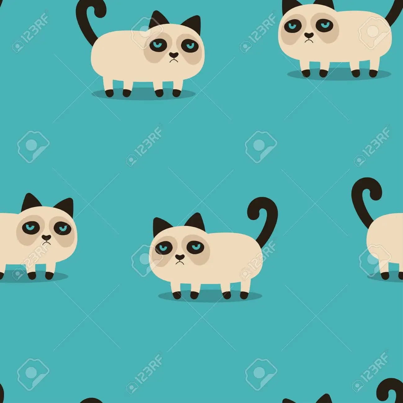 Grumpy Cat, blue eyes, black markings, HD Desktop Wallpaper