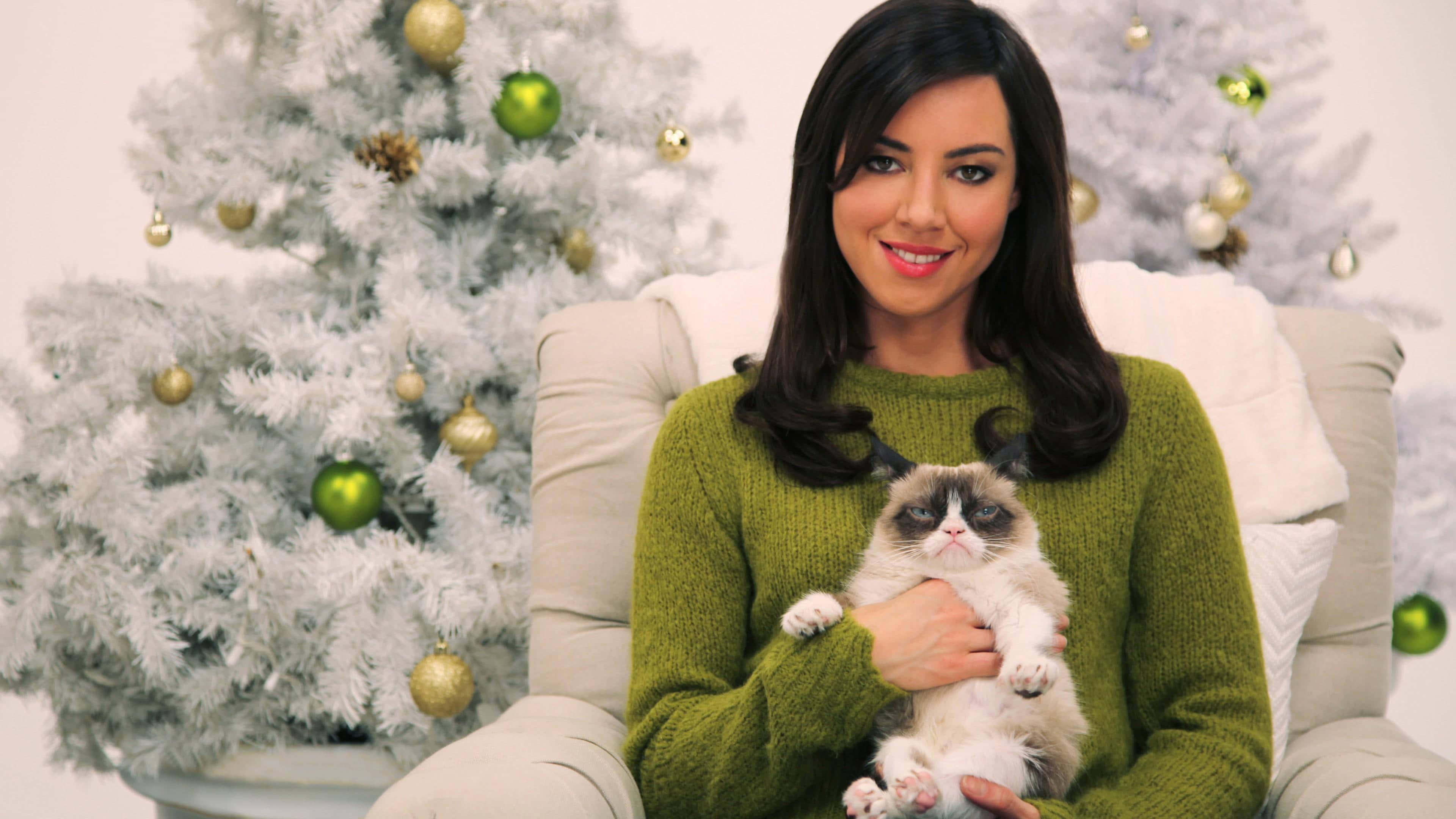 Grumpy Cat, green sweater, white Christmas tree, 4K Desktop Wallpaper