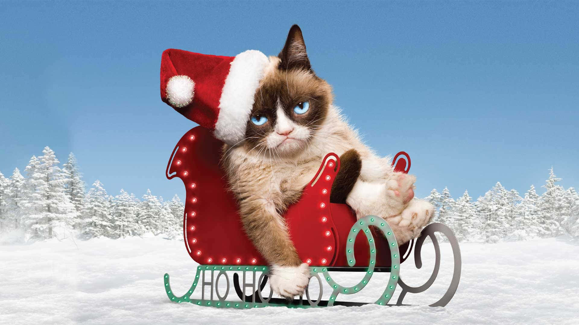 Grumpy Cat, Santa hat, red sleigh, Full HD Desktop Wallpaper