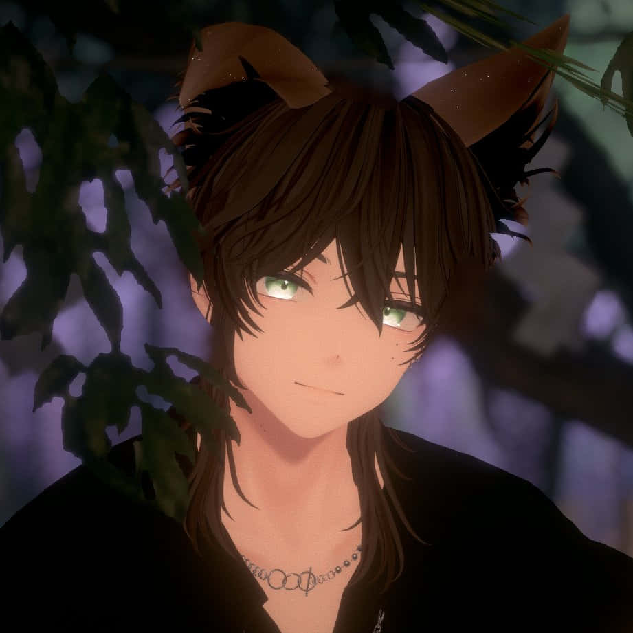 Grunge Aesthetic Anime Boy, cat ears, fox ears, SD Desktop Wallpaper