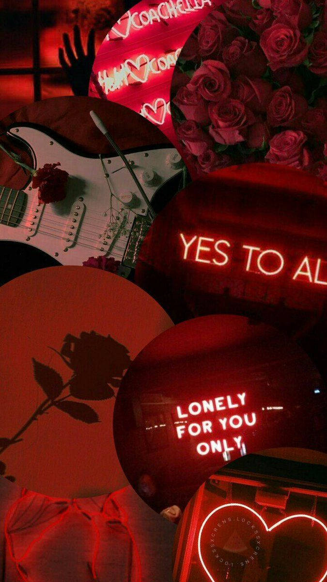 red-lit, roses, neon signs, SD Phone Wallpaper