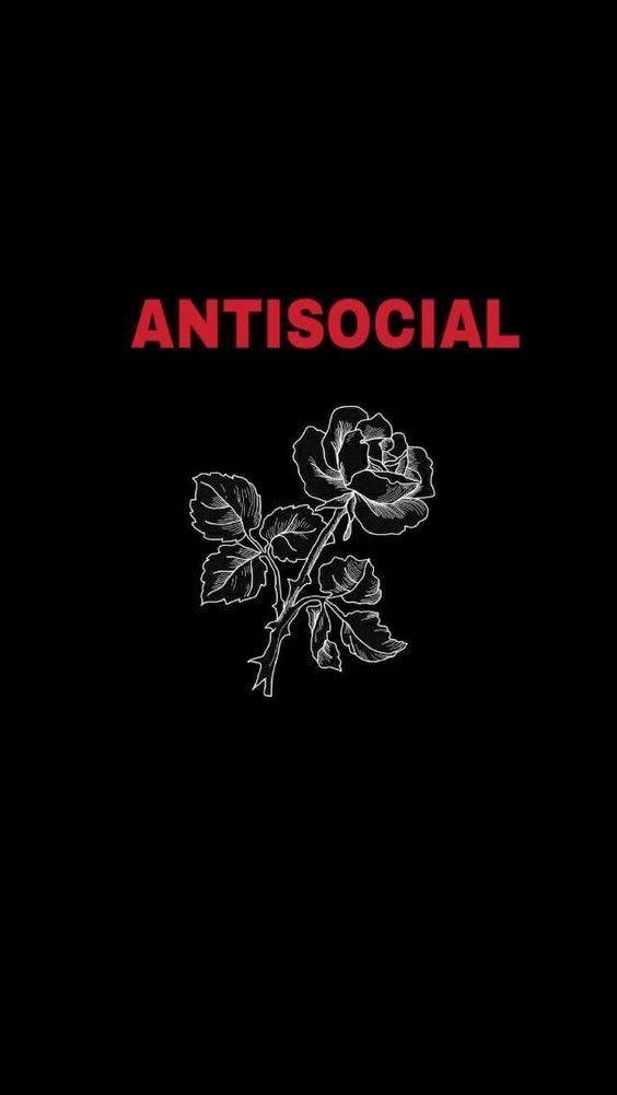 antisocial, rose, red text, SD Phone Wallpaper